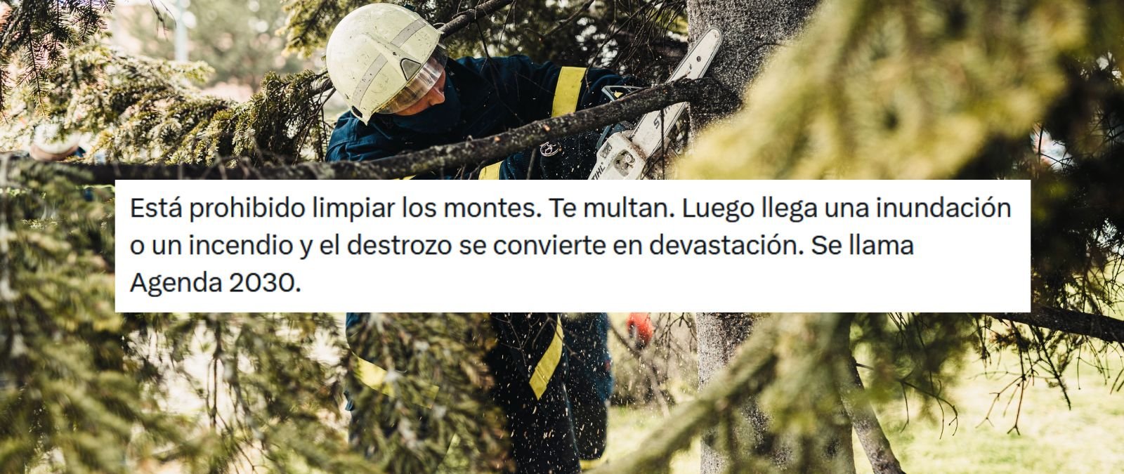 En España no está prohibido limpiar los montes: la Ley de Montes obliga a hacerlo y cada CCAA lo desarrolla en sus planes autonómicos