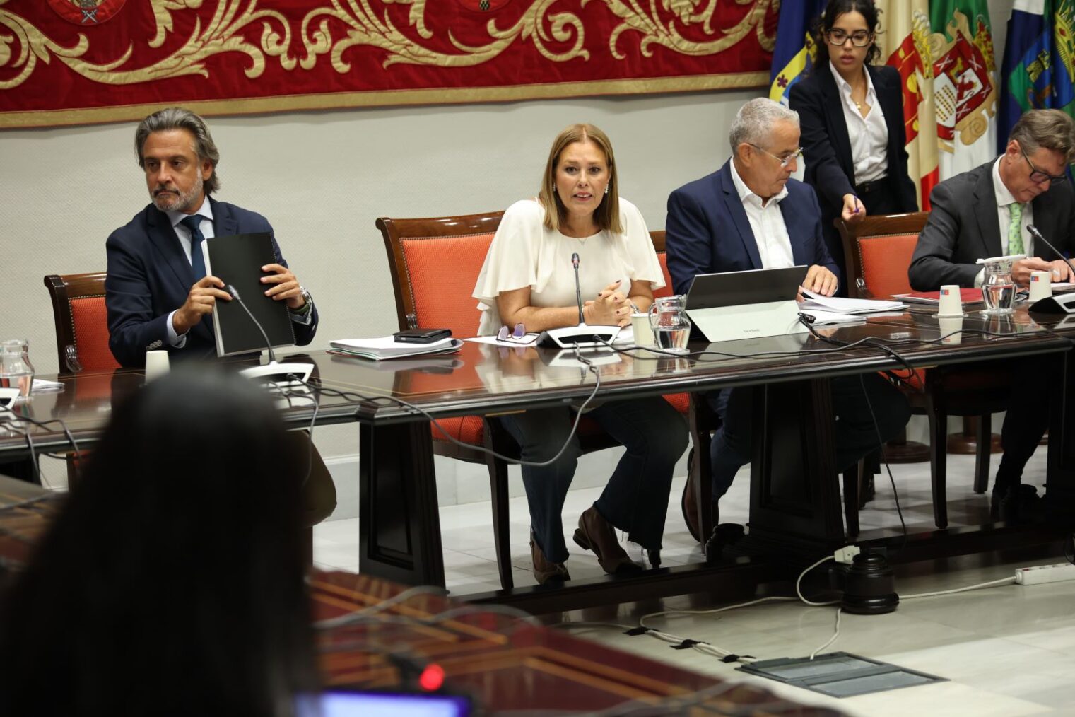 El Parlamento de Canarias aborda el nuevo decreto de discapacidad en la Comisión General de Cabildos Insulares
