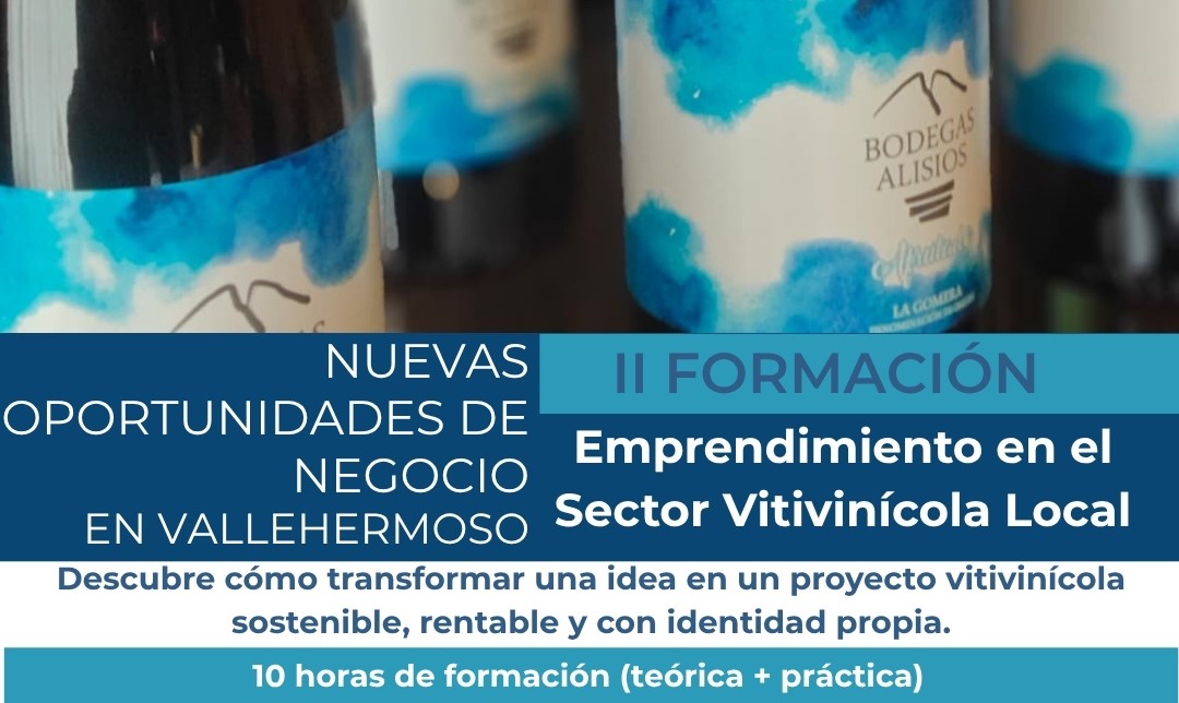 Vallehermoso impulsa un nuevo bootcamp sobre emprendimiento vitivinícola con Bodegas Alisios