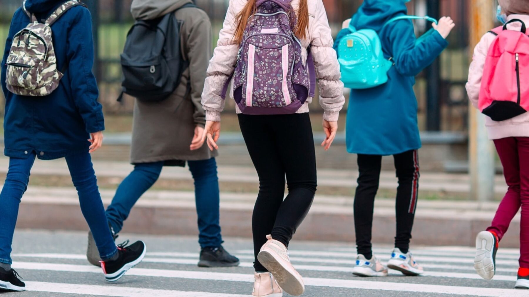 Las ayudas para estudiantes con necesidad de apoyo educativo (NEAE) para el curso 2026-2027 se podrán solicitar a partir del 19 de mayo