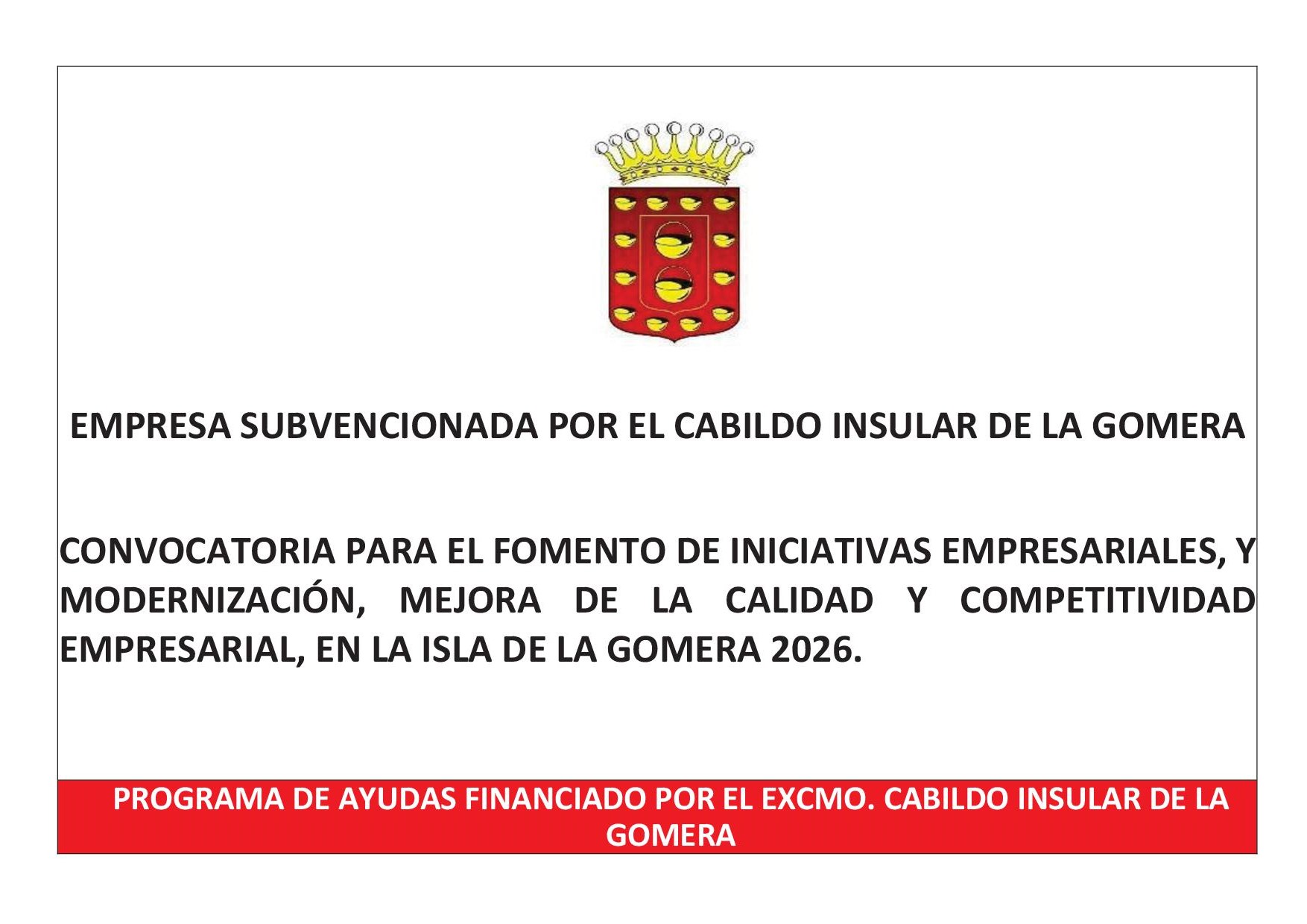 Financiacion publica