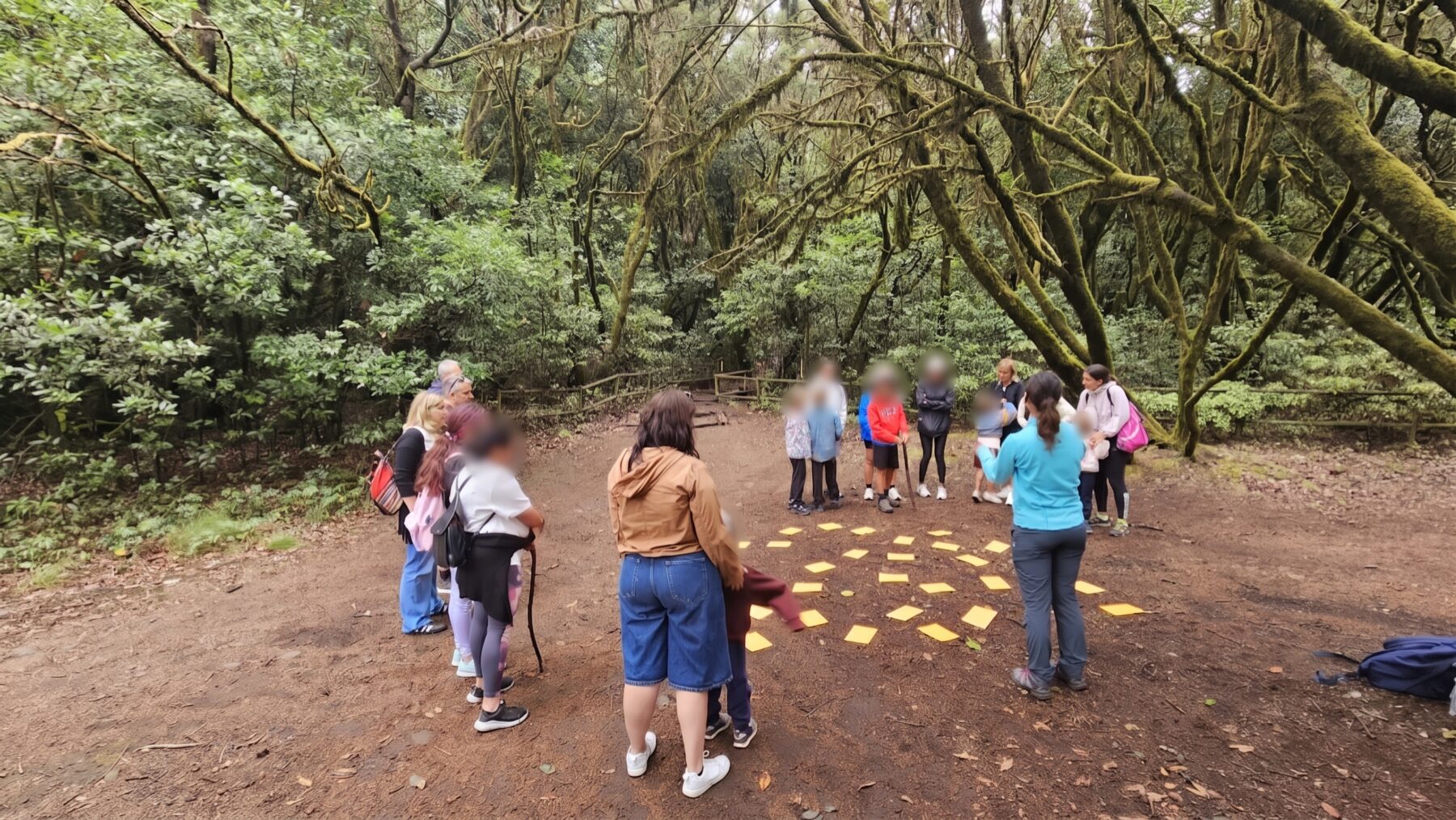 Cabildo de La Gomera y Fundación Acuorum invitan a descubrir la laurisilva con la actividad ‘El Tesoro del Garajonay’