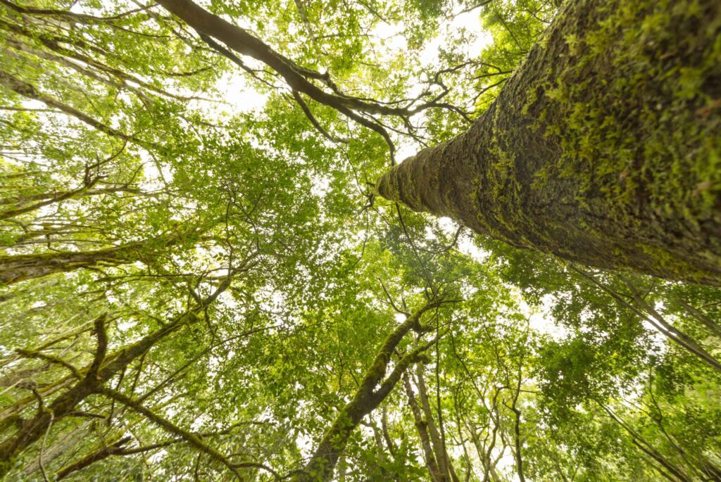 Anaga Biofest completa en La Gomera su primer ciclo de hermanamientos con las siete Reservas de la Biosfera de Canarias
