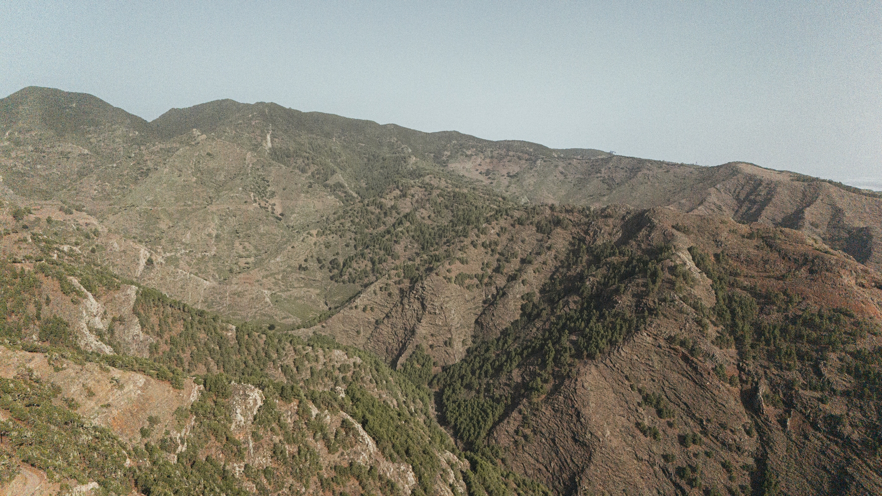 El Cabildo de La Gomera reforzará la biodiversidad y la prevención de incendios en Majona