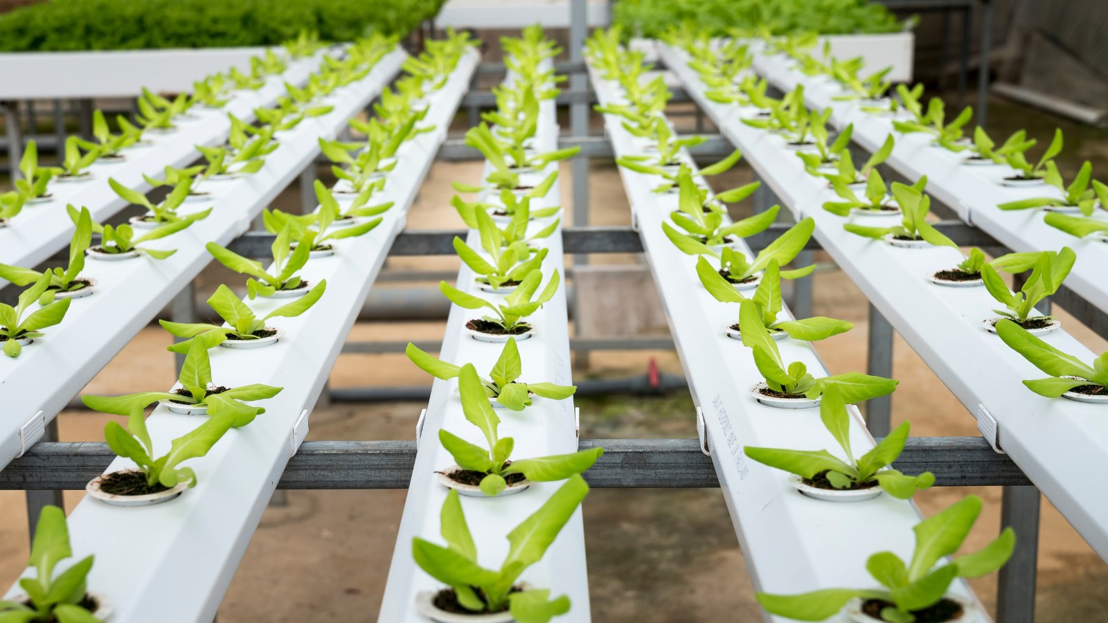 El Ministerio de Agricultura, Pesca y Alimentación aporta 6 millones de euros más al programa Agroinnpulso para fomentar la innovación agroalimentaria