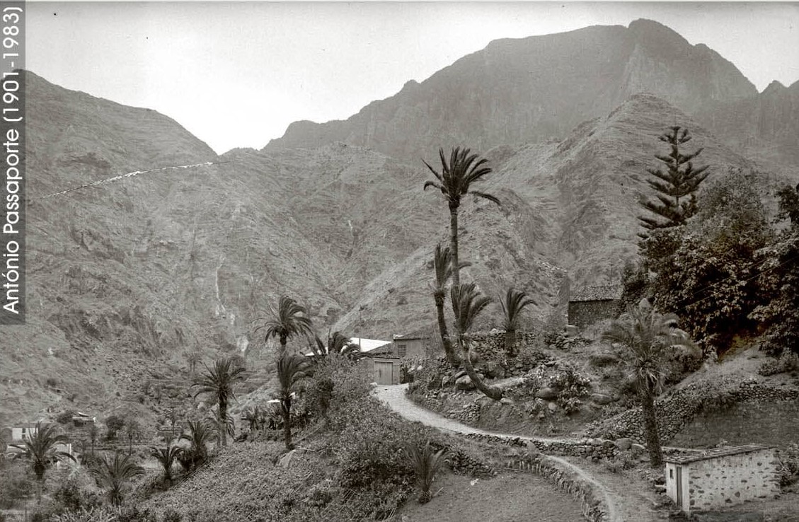 Pan de helecho: Cuando el hambre llevó al valle de Hermigua a la rebelión