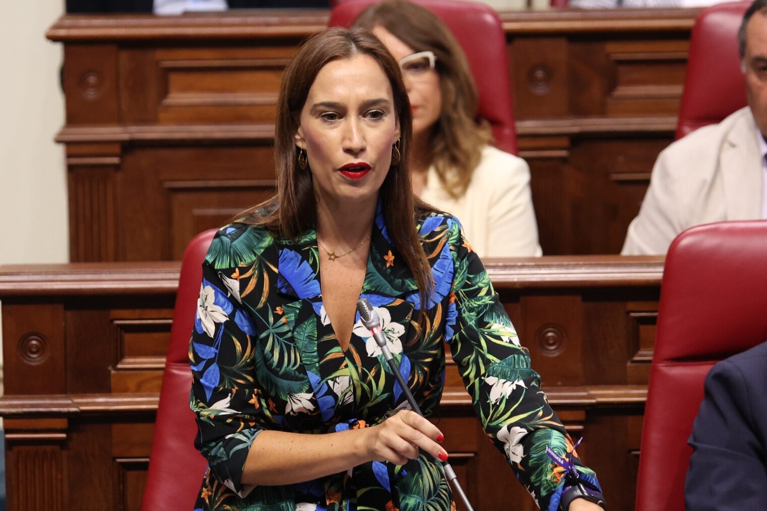 Fierro exige a Domínguez que “dé la cara” y se implique en los grandes acuerdos para Canarias