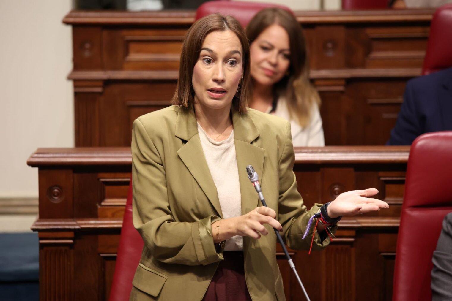Fierro exige a Domínguez que ejerza sus competencias en vivienda y actúe ante la emergencia habitacional: “¿Está del lado de la mayoría social o de la minoría poderosa que acumula viviendas?”